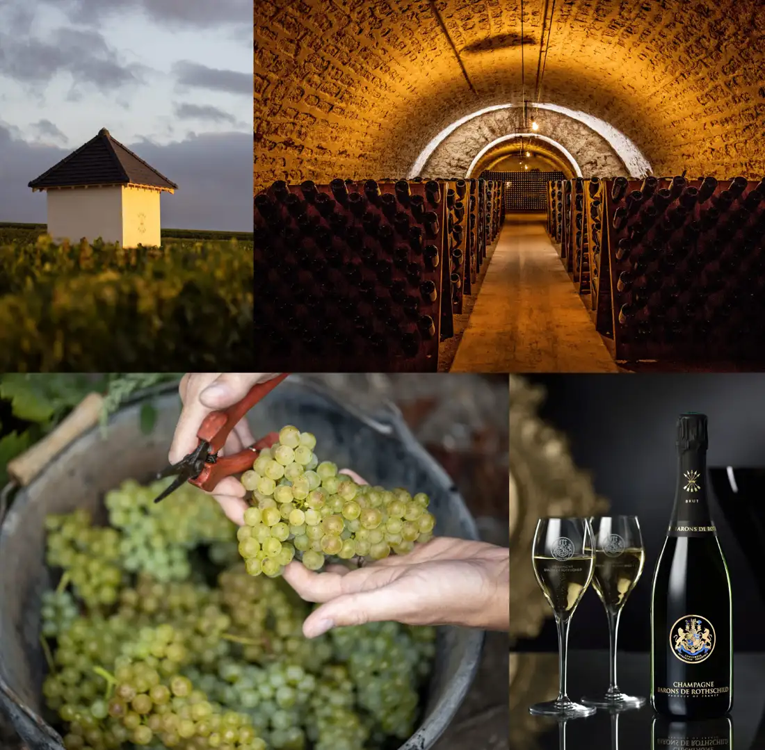 Viñedos, bodega y vinos de Champagne Barons de Rothschild