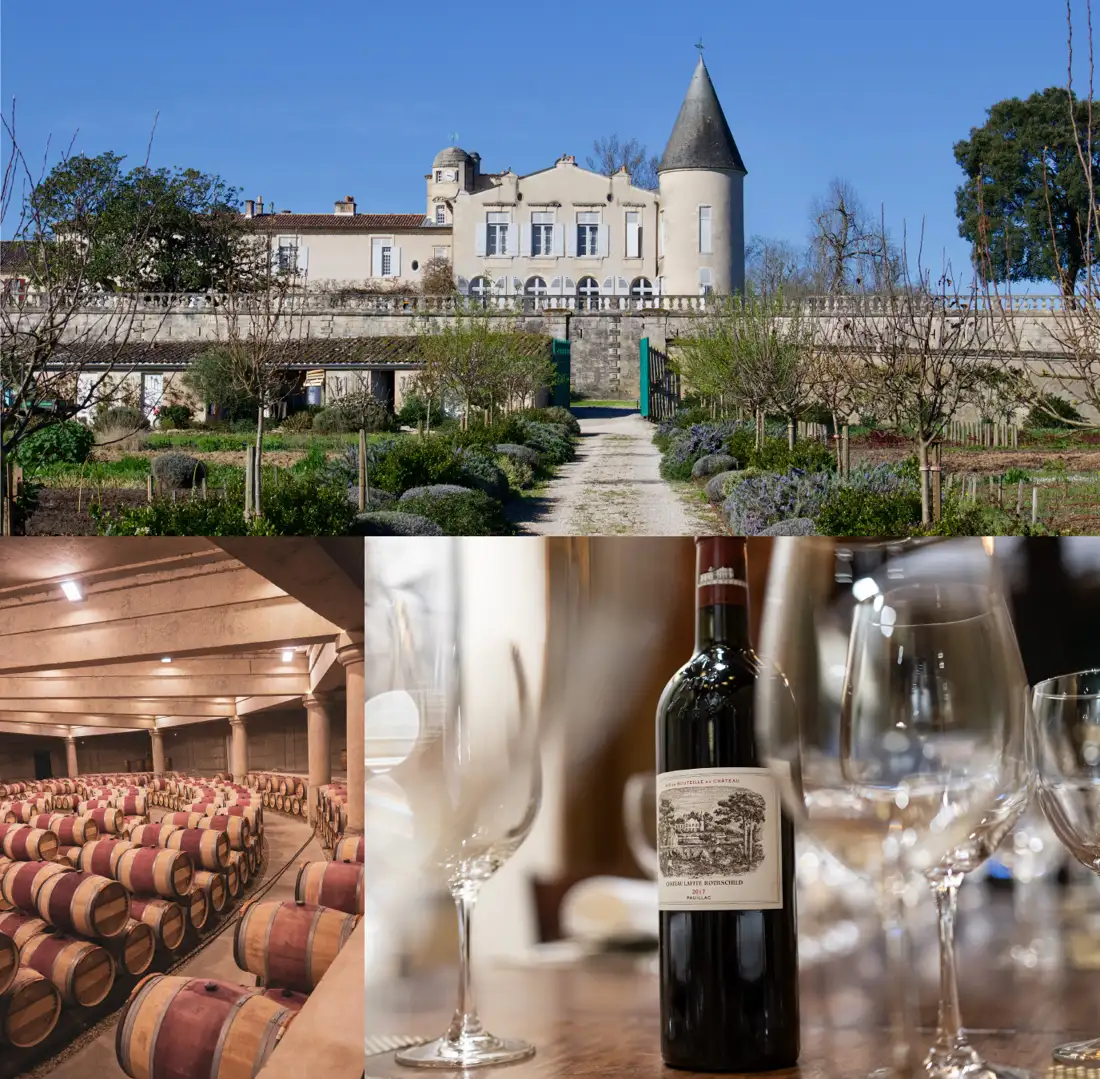 Viñedos, bodega y vinos de Château Lafite Rothschild