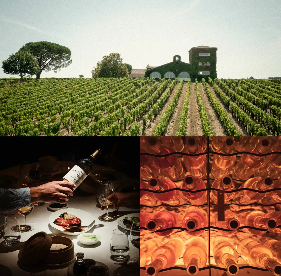 Viñedos, bodega y vinos de Château Rieussec