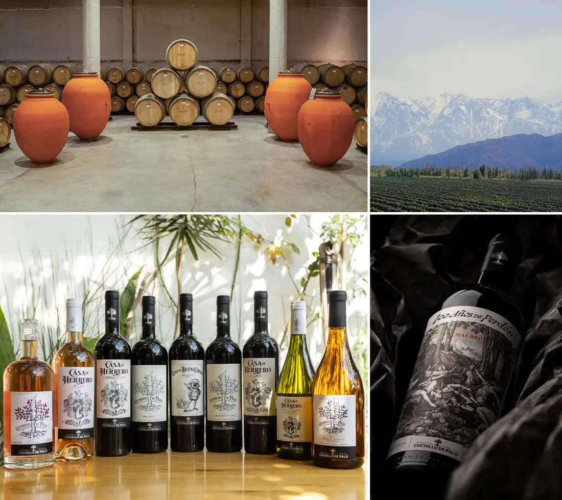Viñedos, bodega y vinos de Cuchillo de Palo