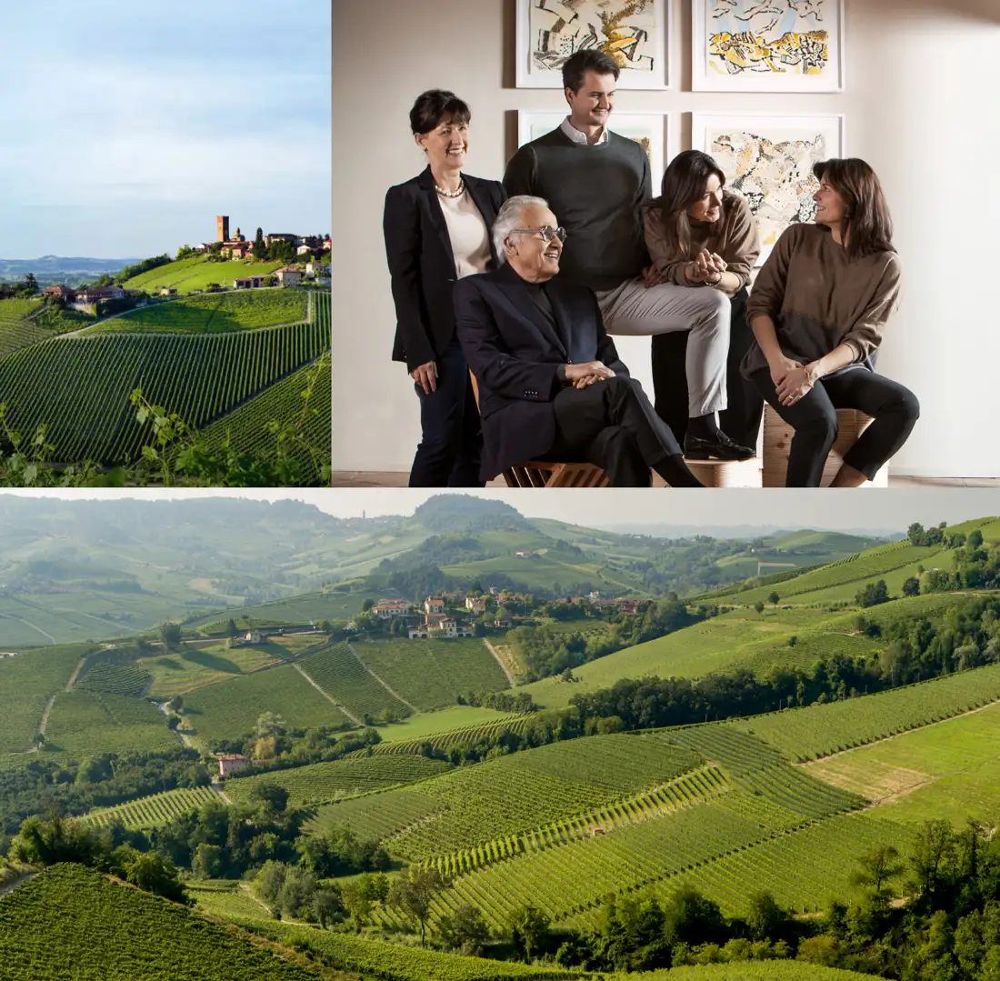 Viñedos, bodega y vinos de Gaja