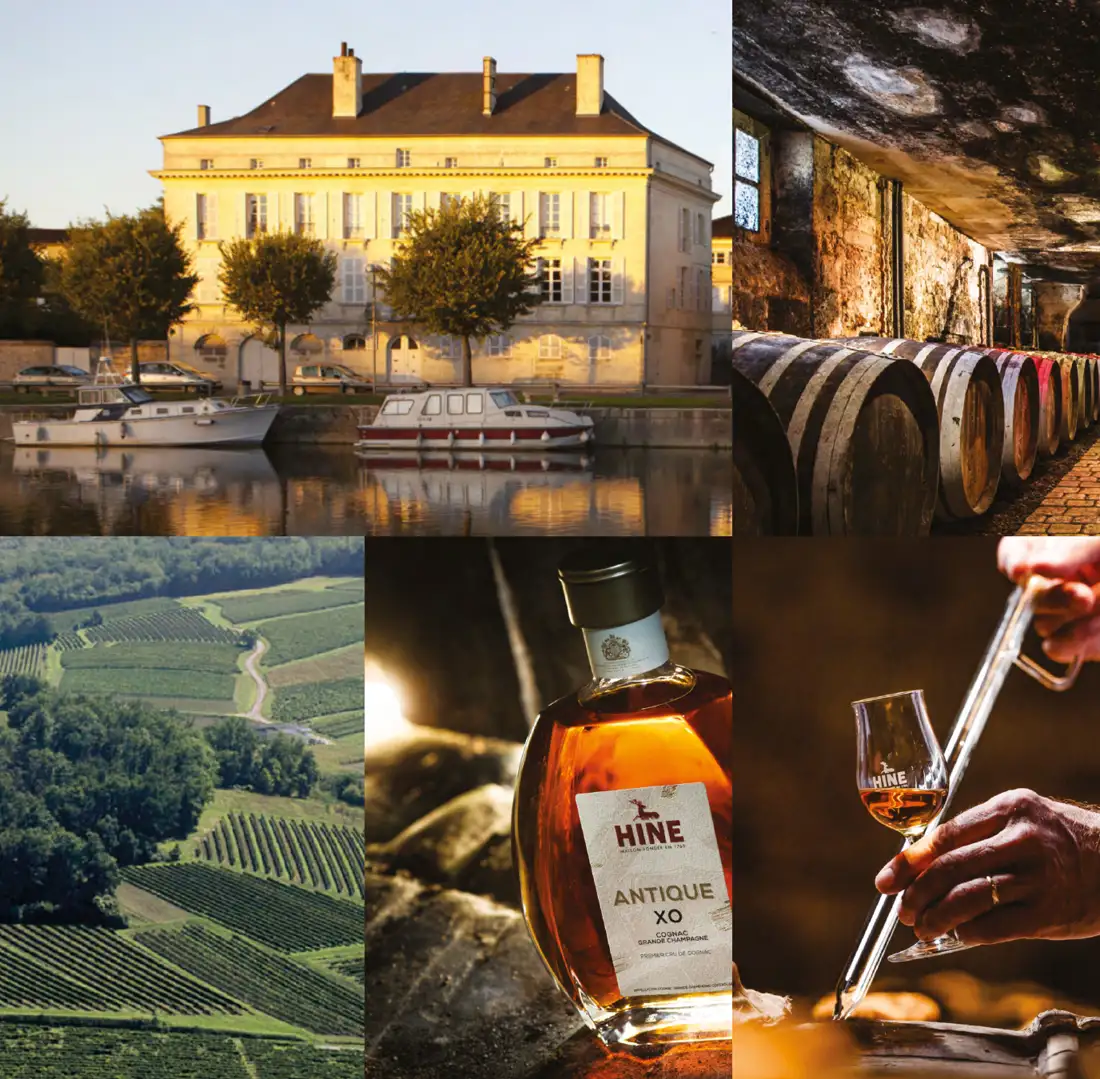Viñedos, bodega y vinos de Hine