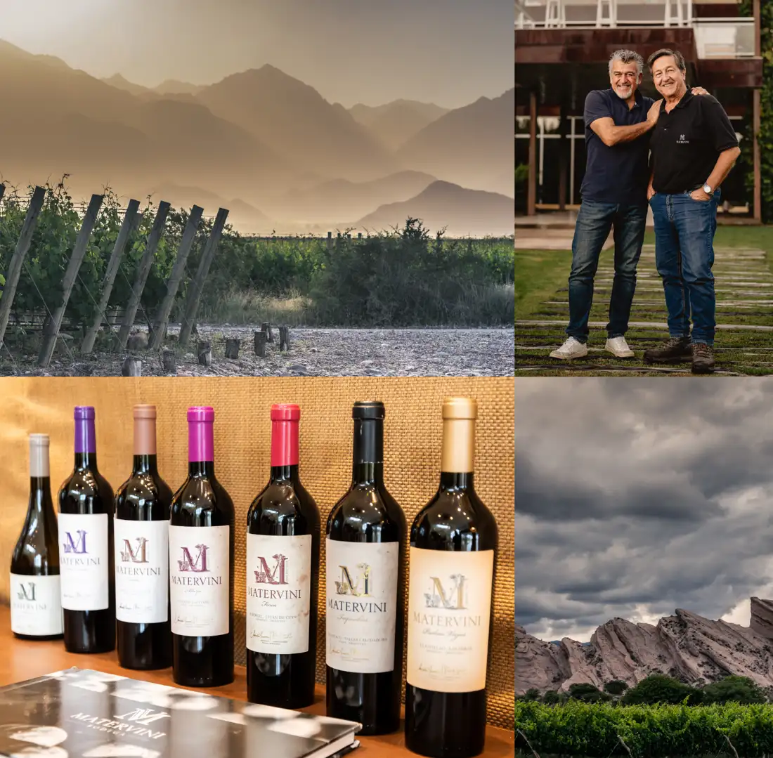 Viñedos, bodega y vinos de Matervini