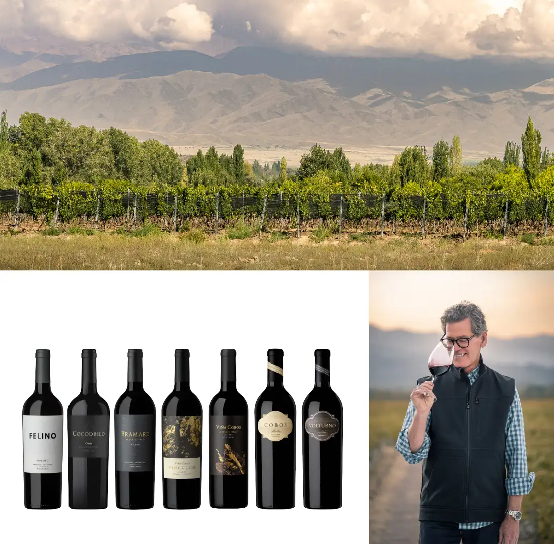 Viñedos, bodega y vinos de Viña Cobos