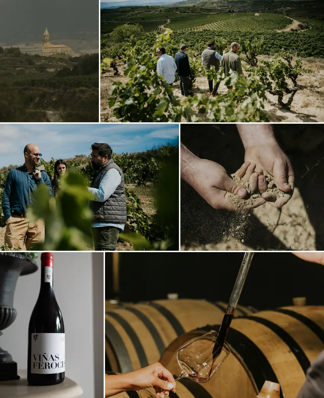Viñedos, bodega y vinos de Viñas Feroces